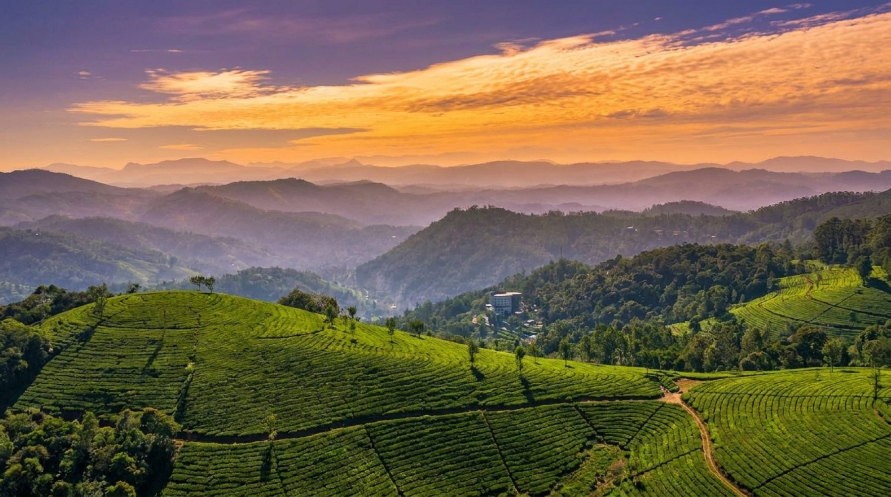 Kerala Munnar Travel Packages.