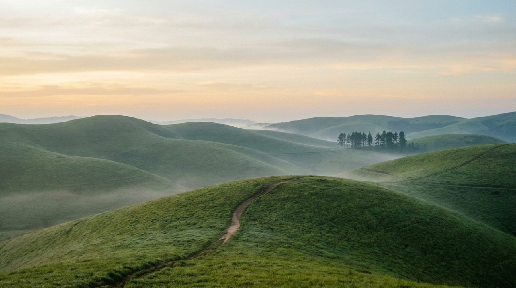 Quiet morning over the rolling green meadows of Vagamon, Kerala, with a path curving over the ridge
