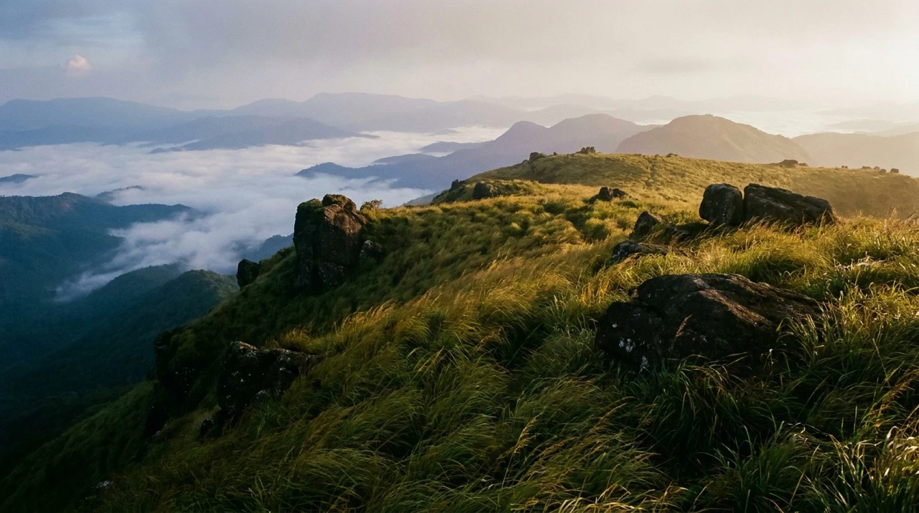 Grassland summit of Muthukora Mala near Kaippally, Kottayam, with mist over the Western Ghats