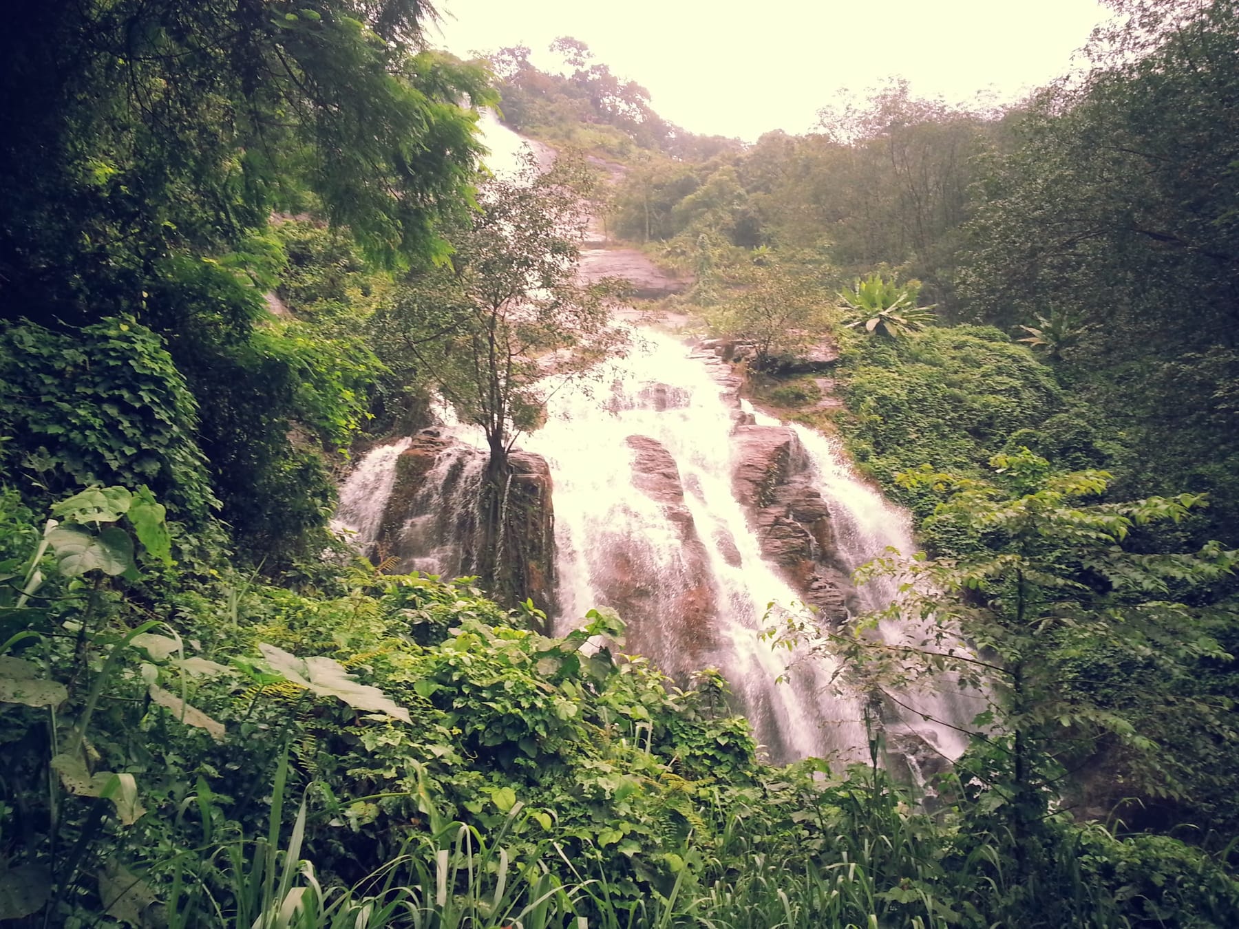 Hidden Cascade — Veils through green, Kerala