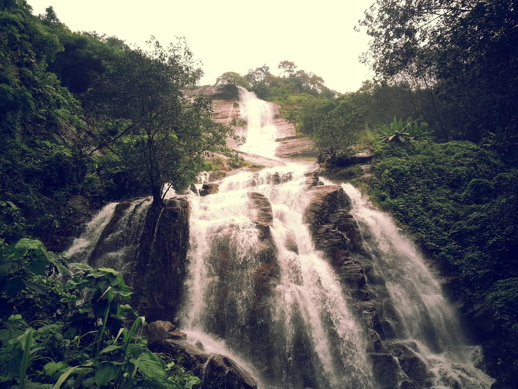 Rainforest Falls — Monsoon cascade, Kerala