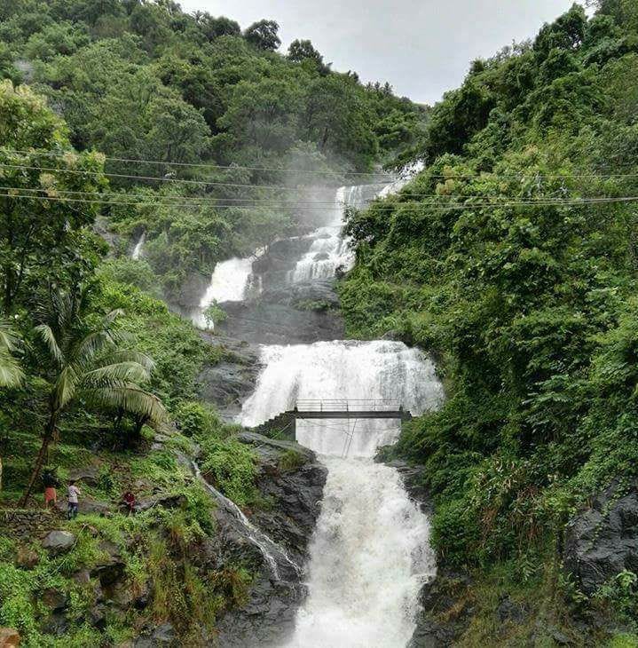 Monsoon Falls — Western Ghats, Kerala