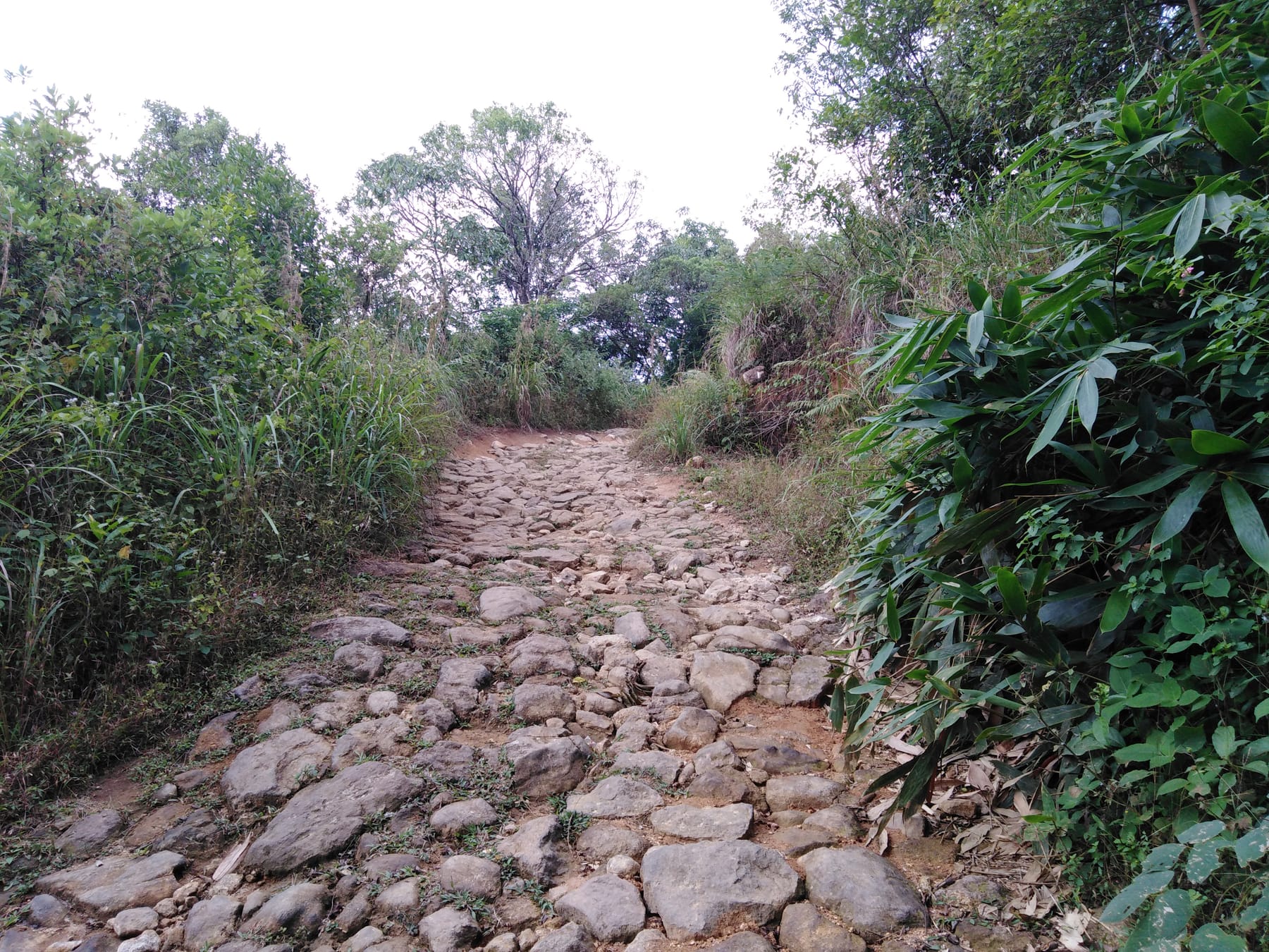Stone Trail — Climb to the ridge, Kerala
