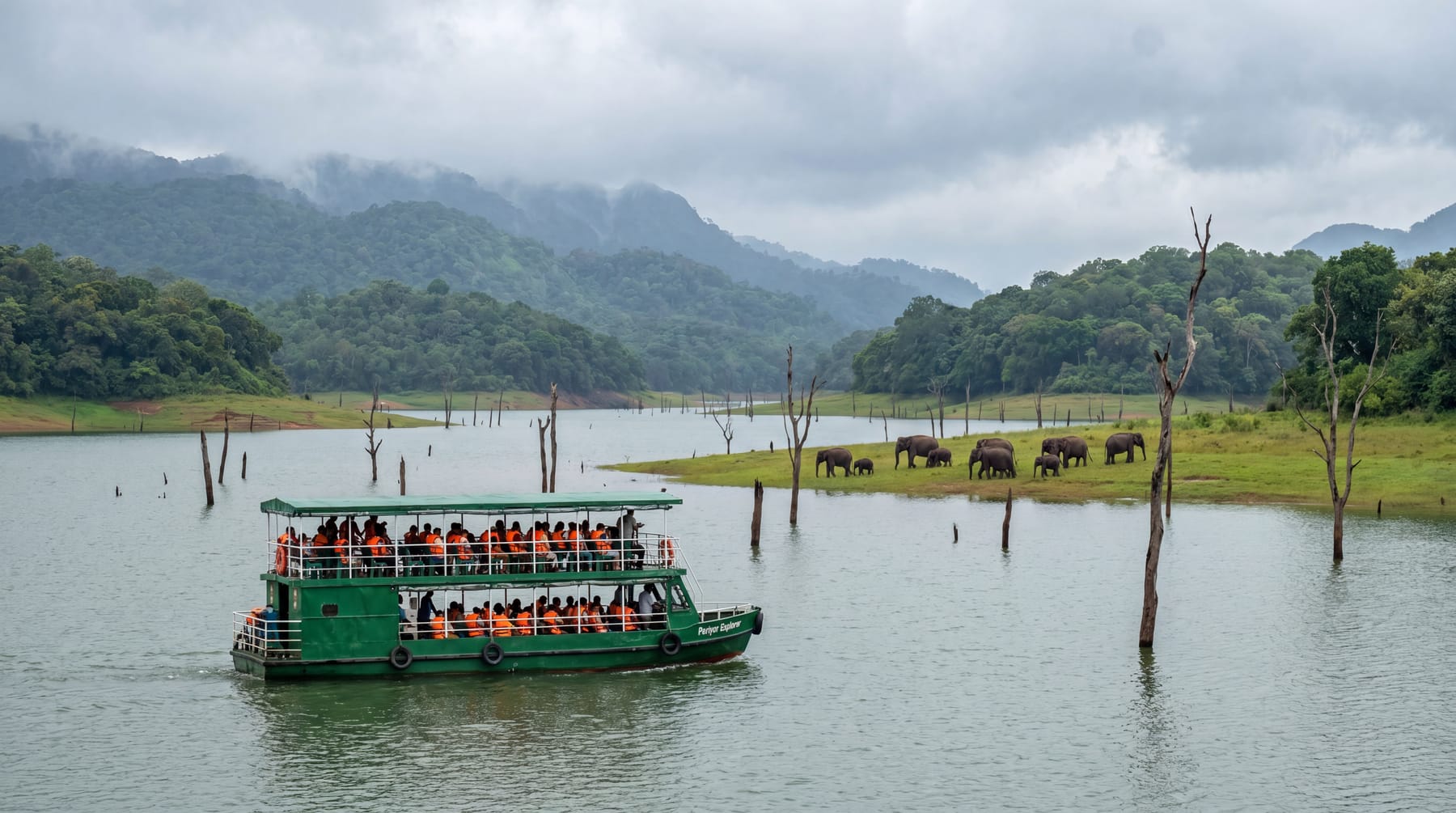 Periyar Boat Safari, Kerala